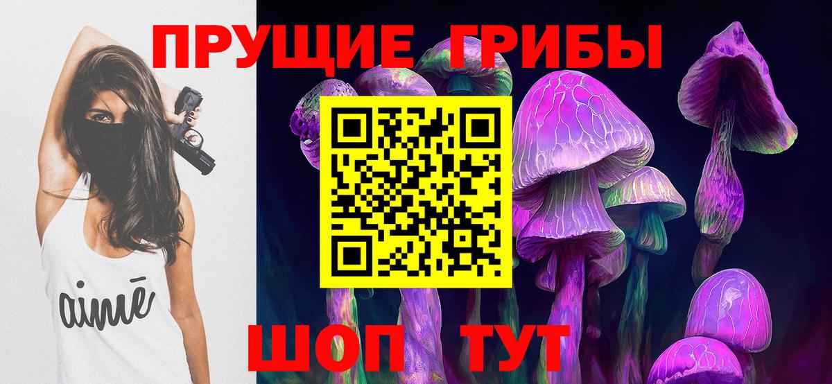 купить закладку  Галлюциногенные грибы Psilocybe  Вход с VPN  Курган 